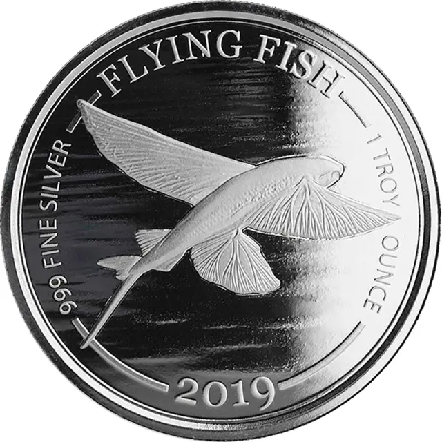 flying fish 2019