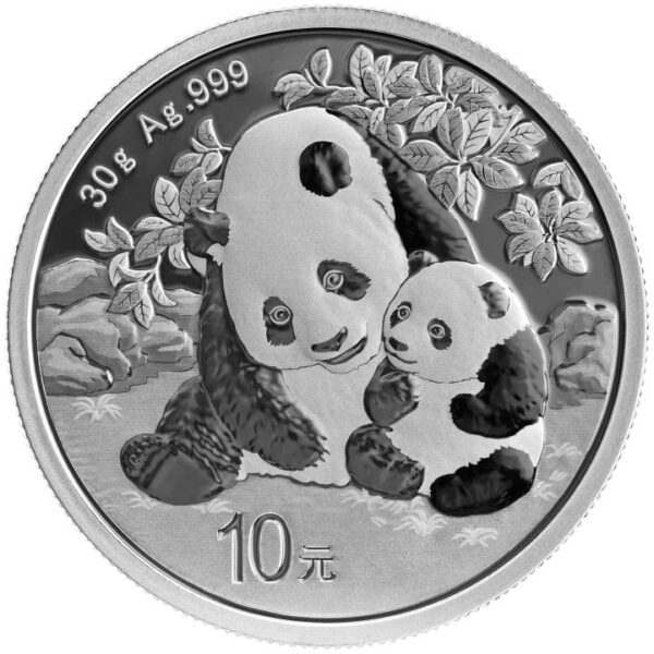 30g Strieborná Minca Panda 2024