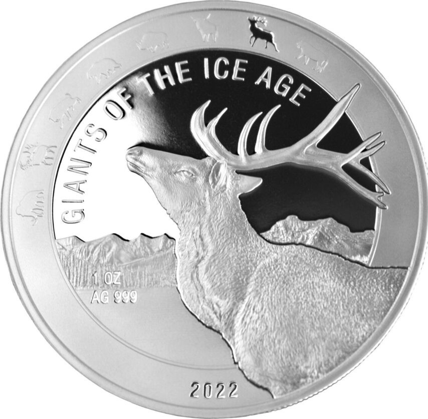 reindeer 2022 1