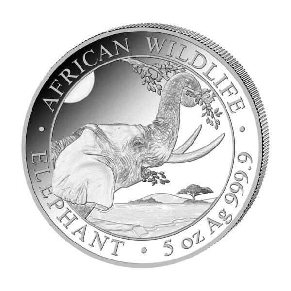 5oz Strieborná Minca Slon Somálsko 2023