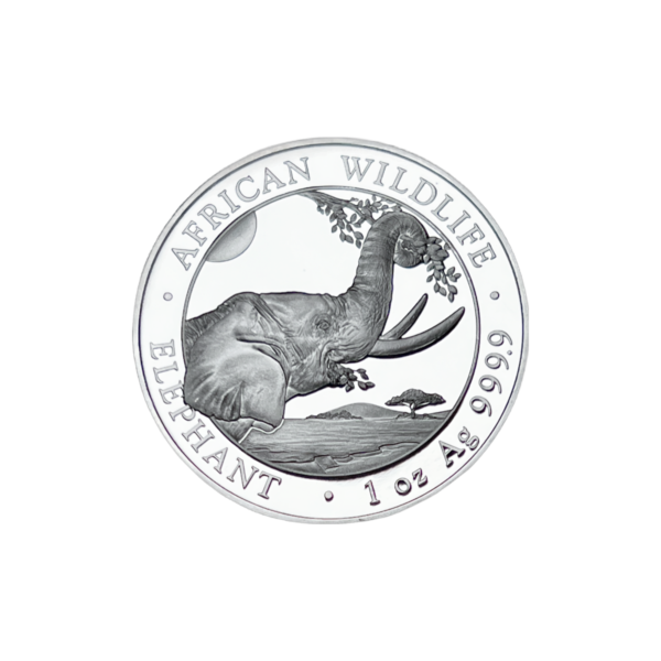 1oz Strieborná Minca Slon Somálsko 2023
