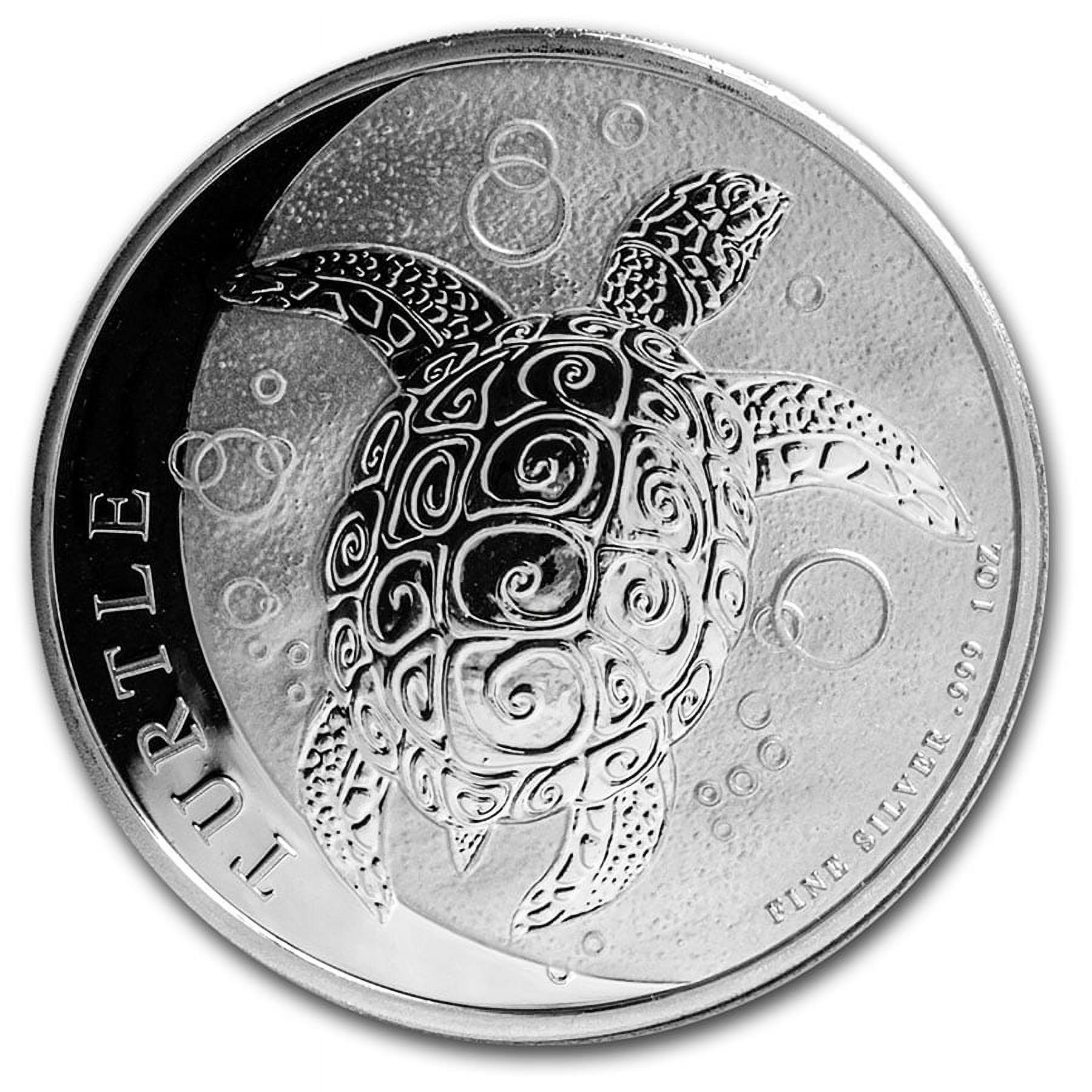 turtle 2020